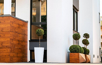 Масло моторн. синт. Mercury SAE 5W30 1л API SL/CF MB: 229.51, VW: 504.00/507.00, RENAULT: